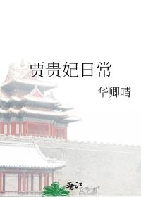 贾贵妃红楼梦