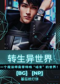 转生异世界bgnp