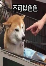 穿成年代文里的恶毒女配 恋曲