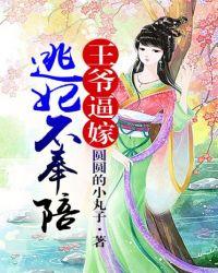 王爷王妃逃婚了