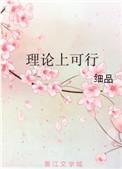 理论可行是什么意思