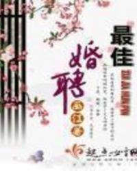最佳聘夫