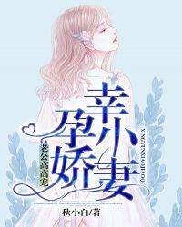 老公你好甜妻高高在上
