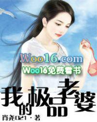 我的极品老婆电视剧版