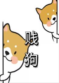 贱狗子什么意思