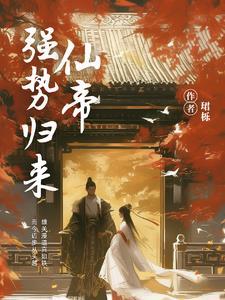 仙帝归来言情
