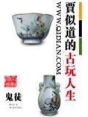 贾道的古玩人生顶点