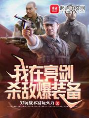 我在亮剑杀敌爆装备txt