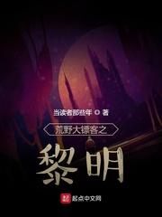 荒野大镖客之黎明全本阅读