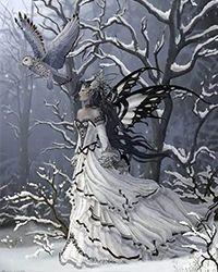 捡来的猫咪是男绿茶全文免费阅读