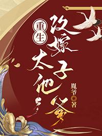重生改嫁太子他爹免费阅读