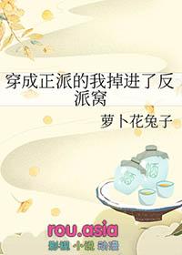 穿成反派的政敌