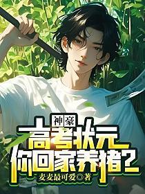 主角是高考状元