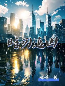 暗刃26集