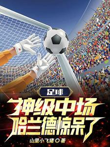 哈兰德是哪个俱乐部的