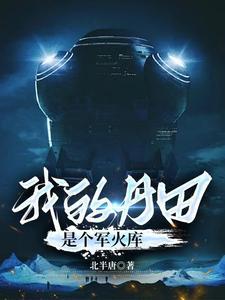 我的丹田有本书