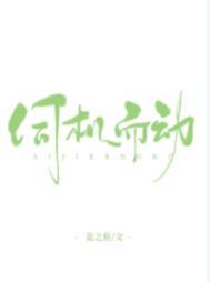 伺机而动免费阅读