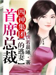 四神集团卫子戚沙发