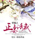 穿越之侯府正妻