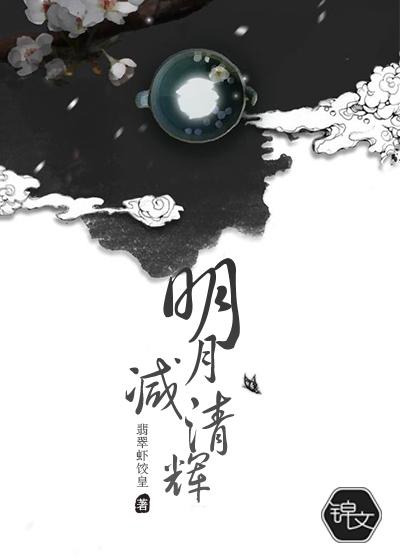 明月减清辉岳莳