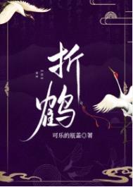 折鹤免费阅读