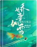 重生八零之娇妻如雪TXT