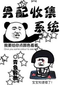 男配收集系统剧透