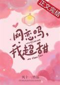 网恋吗我超持久txt