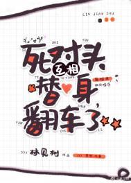 死对头互相替身翻车了TXT