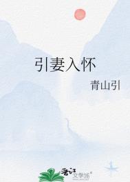 引妻入怀青山引笔趣阁