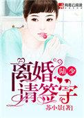 陆少离婚请签字作者苏小景