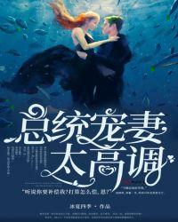 总统宠妻太高调免费阅读完整版