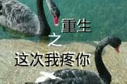 重生之这次我疼你阿噜砰
