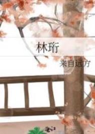 林珩你的人TXT免费