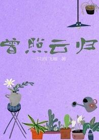 曾照云归讲了什么故事