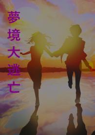 梦境大逃亡安静书