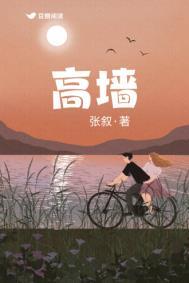 高墙之外