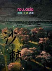 沙棘提取物软胶囊的功效与作用