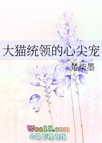 大猫统领的心尖宠gl