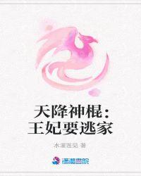 天降傻妃王妃要和离免费阅读