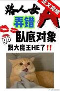 路人女a认错卧底对象番外