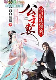 暗影统领的公主妻txt