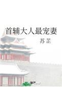 首辅大人最宠妻目录