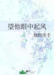 望他眼中起风讲什么