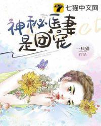 宠妻要给力免费阅读