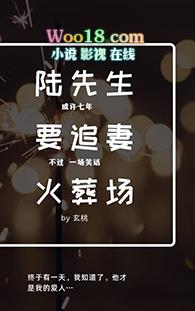 陆先生追妻火葬场免费阅读