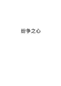 纷争第三章4