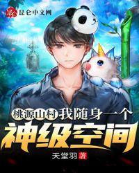 桃源山村全