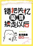 错把失忆魔尊掳走以后TXT