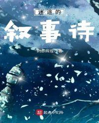 迷途的叙述